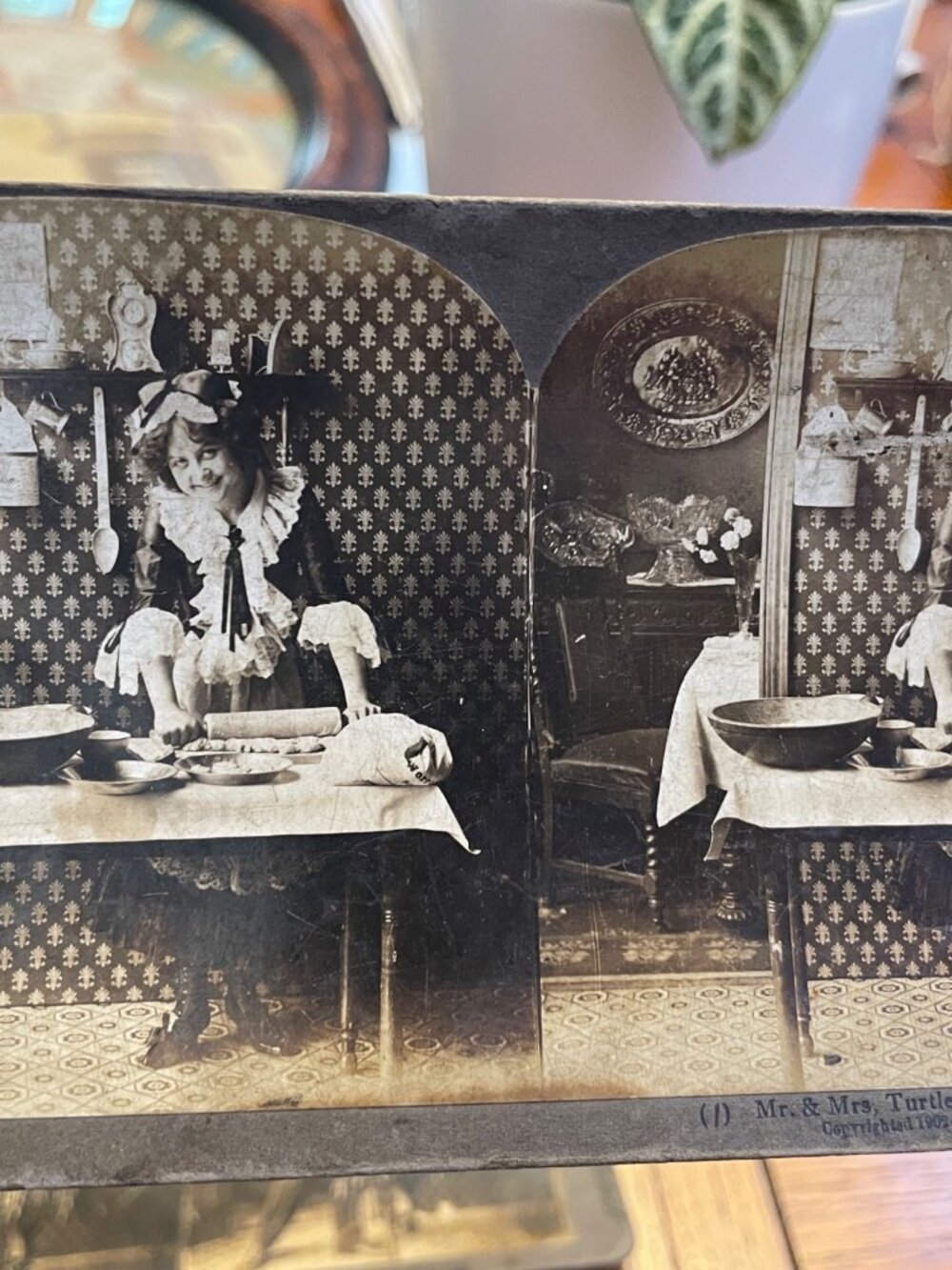 1902 William H. Rau Stereoview Lot of 5 Turtledove’s New French Cook Comic #1-5